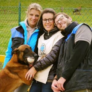 fedra trio