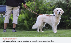 Screenshot 2025-04-16 alle 18.03.15