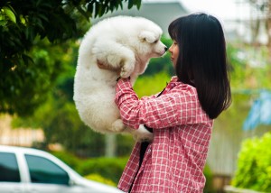 pets-1356191_1920