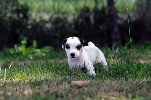 thumbnail_DSC_1761