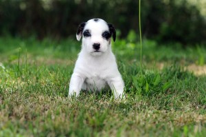 thumbnail_DSC_1766