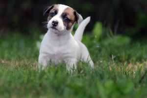 thumbnail_DSC_1804