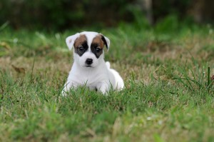 thumbnail_DSC_1822