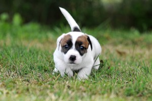 thumbnail_DSC_1831