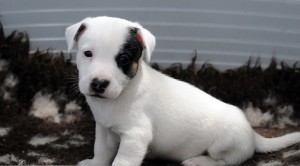 thumbnail_DSC_1850