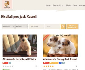 jack Russell prezzo cuccioli