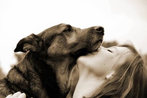 dog-3586281_1920
