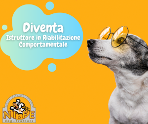 Diventa Istruttore in Riabilitazione Comportamentale
